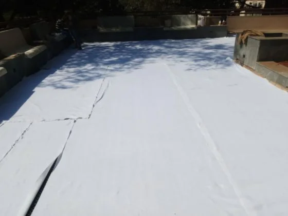 Architect United Indoor & Outdoor Plants