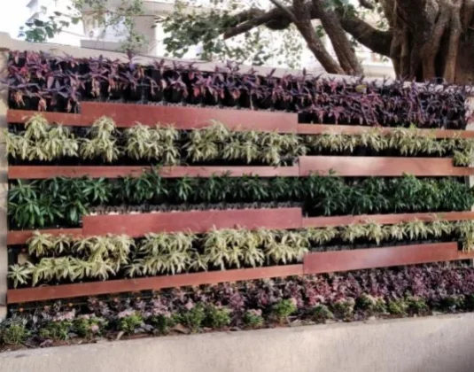 Architect United Indoor & Outdoor Plants