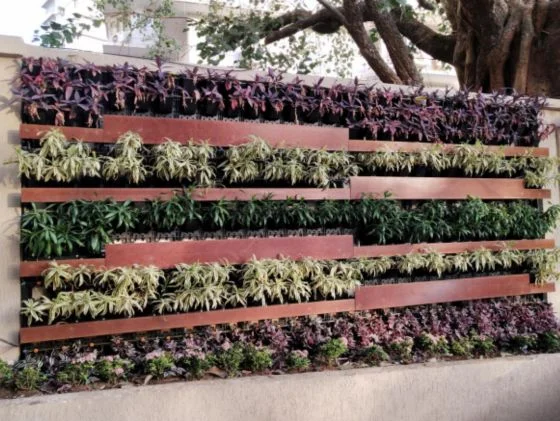 Architect United Indoor & Outdoor Plants