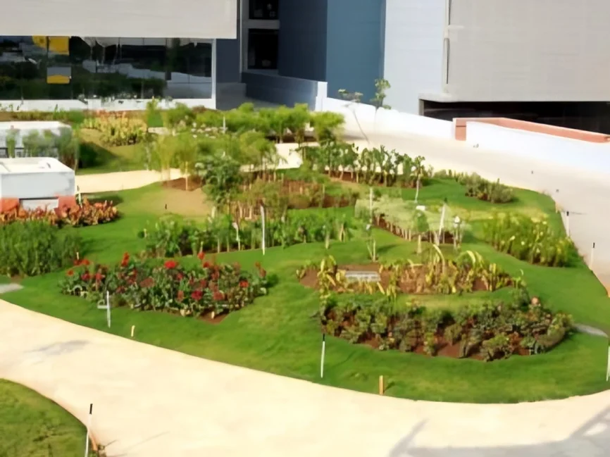 Graphic Irrigation System