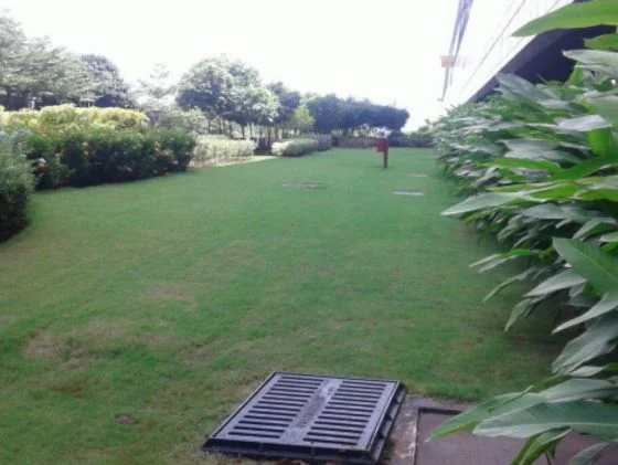 SUROJ BUILDCON PVT. LTD. Fountain