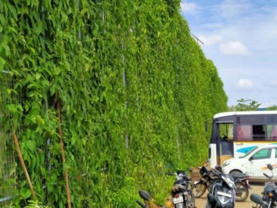 Architect United Indoor & Outdoor Plants